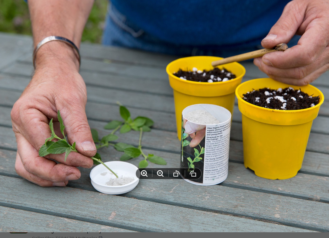 Picture of Rooting Hormone Powder 10 gram (Re-pack / Loose pack)