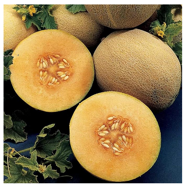 Picture of Hybrid orange red flash melon seeds 10 pcs