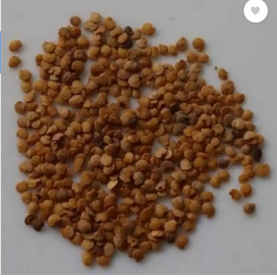 Picture of Hybrid Eggplant seeds white handsome 10 pcs