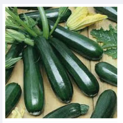Picture of Squash Seeds -Black Beauty Zucchini 10 seeds