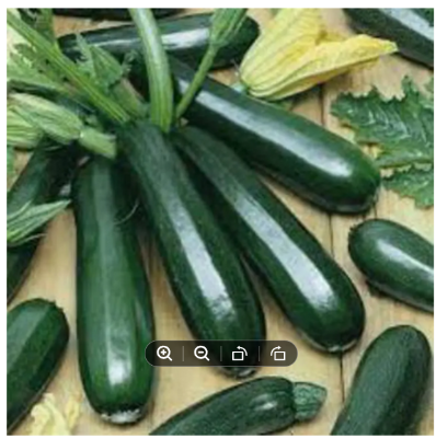 Picture of Squash Seeds -Black Beauty Zucchini 10 seeds