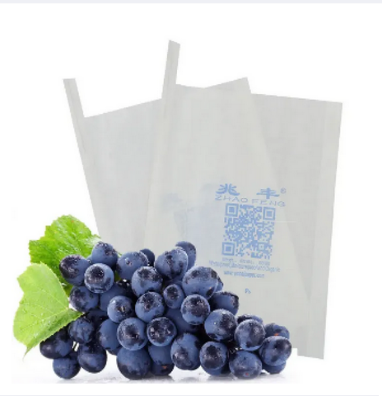Picture of Fruit Protection Paper Bags 10 pcs Grape,Guava,Mango White Protection Cover Bags 6.2X7.7inch