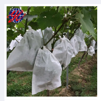 Picture of Fruit Protection Paper Bags 10 pcs Grape,Guava,Mango White Protection Cover Bags 6.2X7.7inch