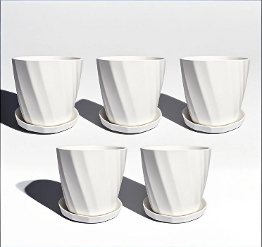 Picture of Camellia Planter With Tray - 5 Pcs 4 Inch