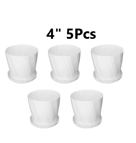 Picture of Camellia Planter With Tray - 5 Pcs 4 Inch