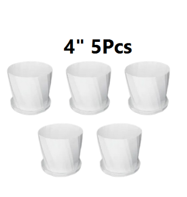 Picture of Camellia Planter With Tray - 5 Pcs 4 Inch