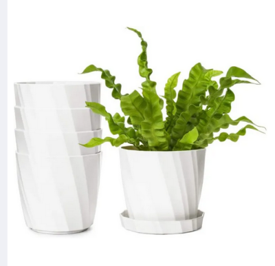 Picture of Camellia Planter With Tray - 5 Pcs 4 Inch