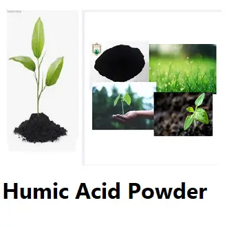 Picture of Humic Acid Powder for plant food 50 gram