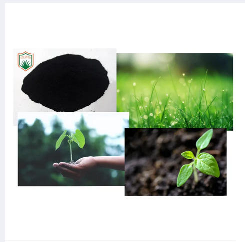 Picture of Humic Acid Powder for plant food 50 gram