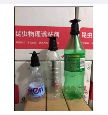 Picture of fruit fly trap Plastic Mini Pheromone Lure Insect Control Fruit Fly Bottle Trap -Pheromone Trap head for use in agriculture 1 Head