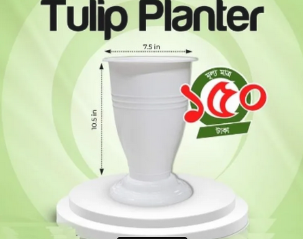 Picture of Tulip Planter 2 Pcs White
