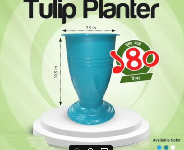 Picture of Tulip Planter 2 Pcs As Picture