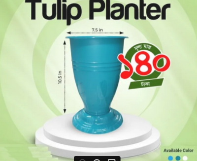 Picture of Tulip Planter 2 Pcs As Picture