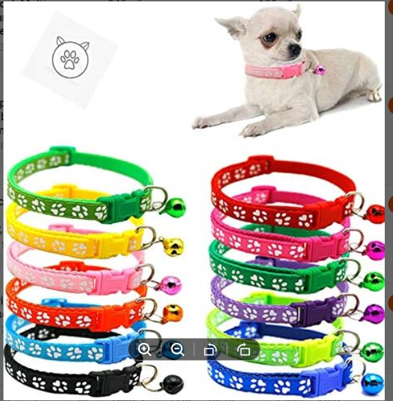 Picture of Cat Kitten Collar