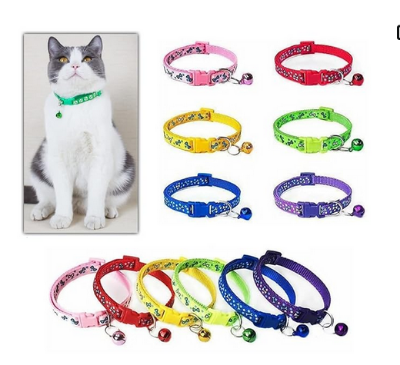 Picture of Cat Kitten Collar