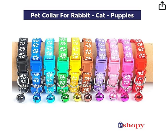 Picture of Cat Kitten Collar