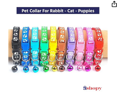 Picture of Cat Kitten Collar