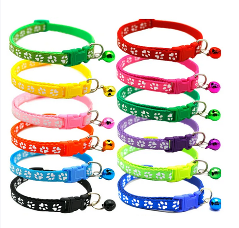 Picture of Cat Kitten Collar