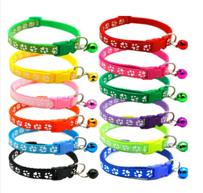 Picture of Cat Kitten Collar