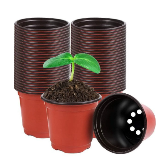 Picture of Nursery Pots 20-Pack 6 Inch Plastic  Plant Pot with Drainage,Seedling Flower Plant Container and Seed Starting Pots for Succulents, Seedlings