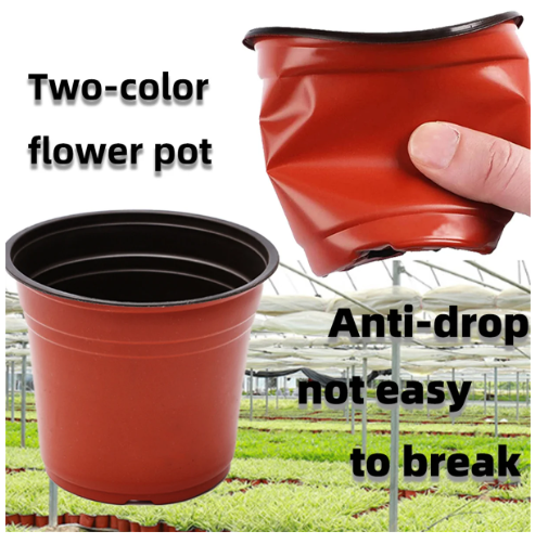 Picture of Nursery Pots 20-Pack 6 Inch Plastic  Plant Pot with Drainage,Seedling Flower Plant Container and Seed Starting Pots for Succulents, Seedlings