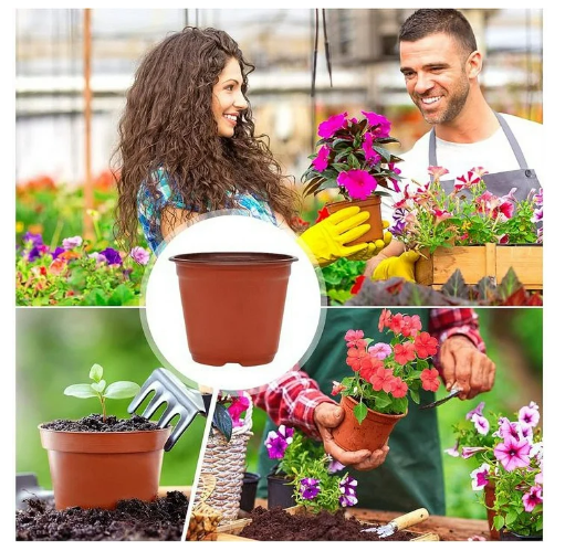 Picture of Nursery Pots 20-Pack 6 Inch Plastic  Plant Pot with Drainage,Seedling Flower Plant Container and Seed Starting Pots for Succulents, Seedlings