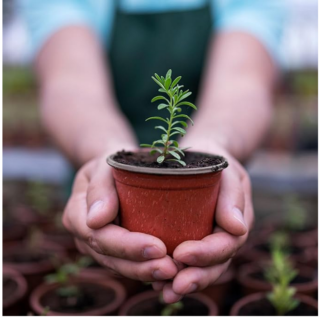 Picture of Plastic Flower Pot(4 Inch -50 Pcs) for Flowers and Plants, Seed and Seedling Pots for Gardening