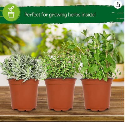 Picture of Plastic Flower Pot(4 Inch -50 Pcs) for Flowers and Plants, Seed and Seedling Pots for Gardening