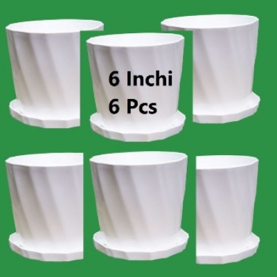 Picture of Camelia Planter 6 Inchi 6 pcs With tray