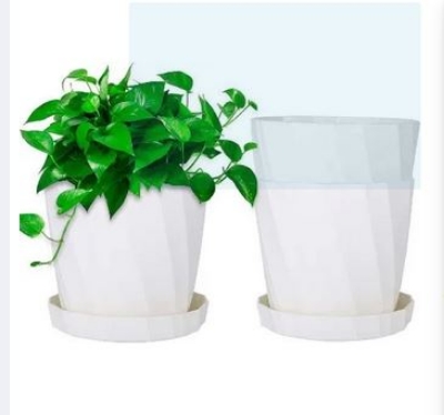 Picture of Camelia Planter 6 Inchi 6 pcs With tray