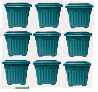 Picture of 4 Inch Khandani Square Planter  (10 pcs )