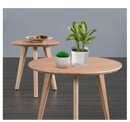 Picture of Flower pot white Color 10 pcs with tray(7CM)-Succulent pot