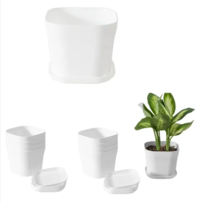 Picture of Flower pot white Color 10 pcs with tray(7CM)-Succulent pot
