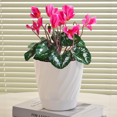 Picture of Flower Pot Watering Pot 4 Pcs with Drain Hole White (6In)