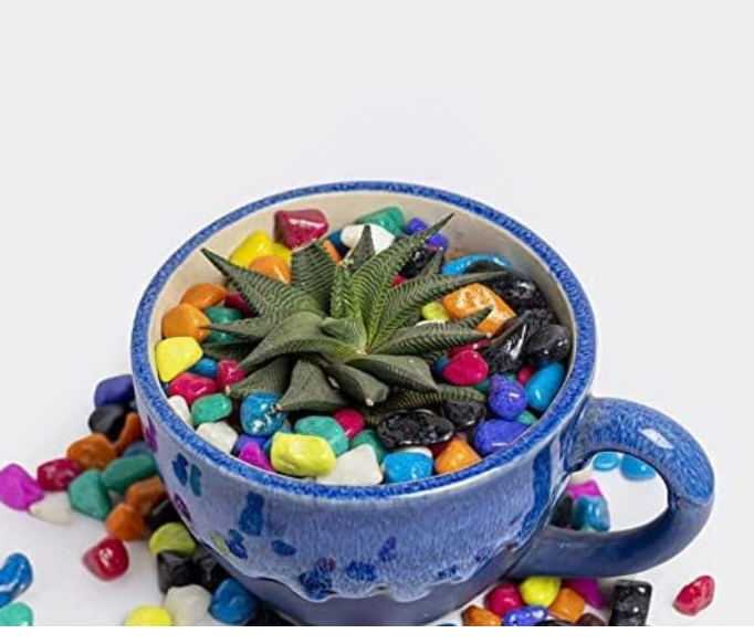 Picture of Multicolour Pebbles Stone for Decoration Garden Plants Pots Home Decor (1KG)