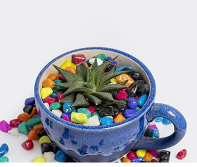 Picture of Multicolour Pebbles Stone for Decoration Garden Plants Pots Home Decor (1KG)