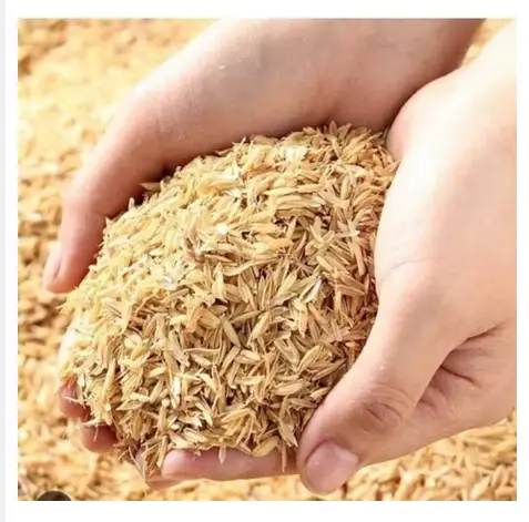 Picture of Organic Natural Rice PLANT Rice Husk for Gardening (1/2 kg)