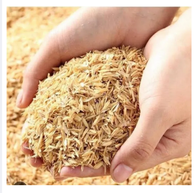 Picture of Organic Natural Rice PLANT Rice Husk for Gardening (1/2 kg)