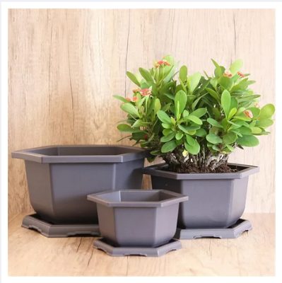 Picture of Bonsai Hexagonal (Flower Pot 9 Inchi 1 Pcs )Outdoor Pots Nursery Pot Mini Succulent Planter Pots Aquaponics Net Cup Outdoor Shelf for Plants Mini Pots Plastic Plant Container Antique Planting Net