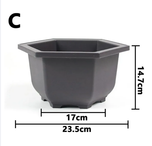 Picture of Bonsai Hexagonal (Flower Pot 9 Inchi 1 Pcs )Outdoor Pots Nursery Pot Mini Succulent Planter Pots Aquaponics Net Cup Outdoor Shelf for Plants Mini Pots Plastic Plant Container Antique Planting Net