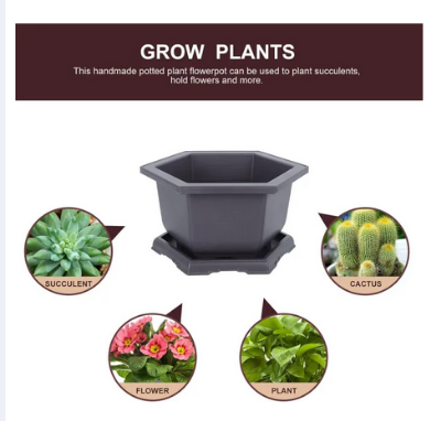 Picture of Bonsai Hexagonal (Flower Pot 9 Inchi 1 Pcs )Outdoor Pots Nursery Pot Mini Succulent Planter Pots Aquaponics Net Cup Outdoor Shelf for Plants Mini Pots Plastic Plant Container Antique Planting Net