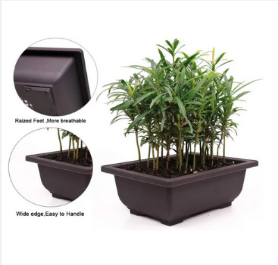 Picture of Bonsai Training Pots 3 Pcs(6 Inchi) With Tray-Premium Plant Pot, Flower Succulent Bonsai Pots Container for Garden, Yard, Office, Balcony, Home Decorative, Indoor, Outdoor