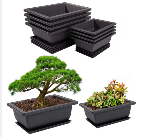 Picture of Bonsai Training Pot 1 Pcs with Humidity Tray - 9 in Training Nursery Pots Kit,