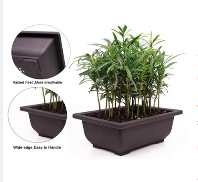 Picture of Bonsai Training Pot 1 Pcs with Humidity Tray - 9 in Training Nursery Pots Kit,