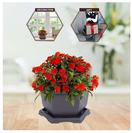 Picture of Bonsai pot Hexagonal Flower Pot (6 Inchi 3 pcs) Outdoor Pots Nursery Pot Mini Succulent Planter Pots