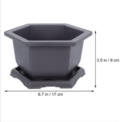 Picture of Bonsai pot Hexagonal Flower Pot (6 Inchi 3 pcs) Outdoor Pots Nursery Pot Mini Succulent Planter Pots