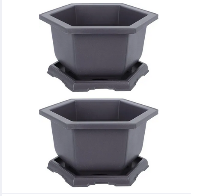 Picture of Bonsai pot Hexagonal Flower Pot (6 Inchi 3 pcs) Outdoor Pots Nursery Pot Mini Succulent Planter Pots