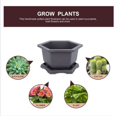 Picture of Bonsai pot Hexagonal Flower Pot (6 Inchi 3 pcs) Outdoor Pots Nursery Pot Mini Succulent Planter Pots