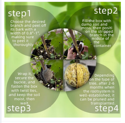 Picture of Air Layering Propagation Kit 1 Set