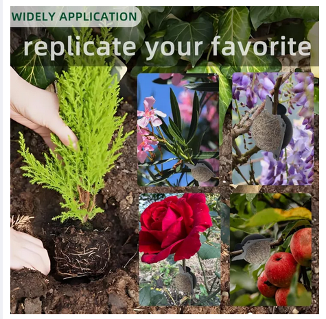 Picture of Air Layering Propagation Kit 1 Set